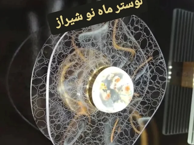 لوسترهای مدرن و فوقمدرن سقفی و آویزی کوچک ماهنو