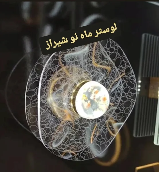 لوسترهای مدرن و فوقمدرن سقفی و آویزی کوچک ماهنو